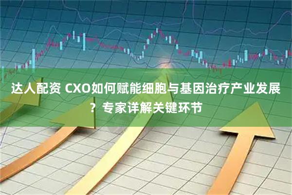 达人配资 CXO如何赋能细胞与基因治疗产业发展？专家详解关键环节