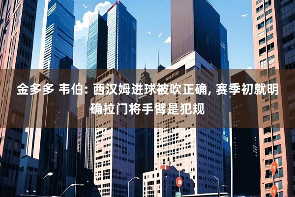 金多多 韦伯: 西汉姆进球被吹正确, 赛季初就明确拉门将手臂是犯规