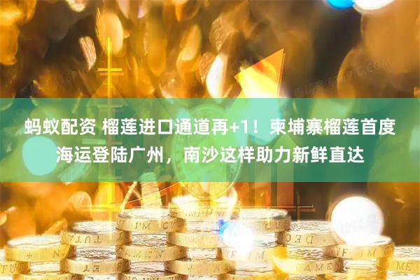 蚂蚁配资 榴莲进口通道再+1！柬埔寨榴莲首度海运登陆广州，南沙这样助力新鲜直达