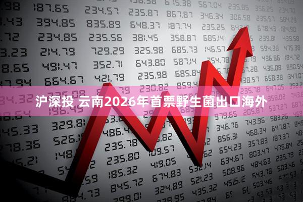 沪深投 云南2026年首票野生菌出口海外